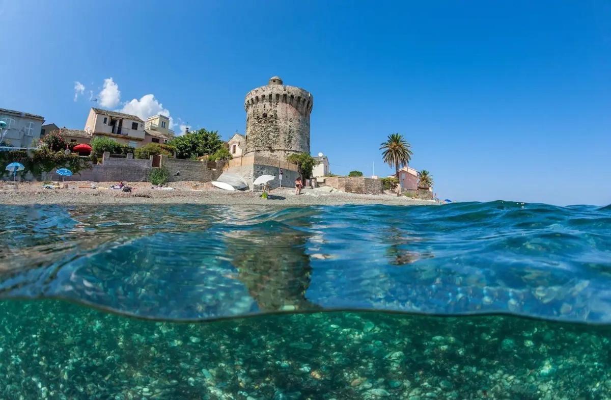 Agreable Studio Debut Cap Corse Proche Bastia San-Martino-di-Lota Экстерьер фото