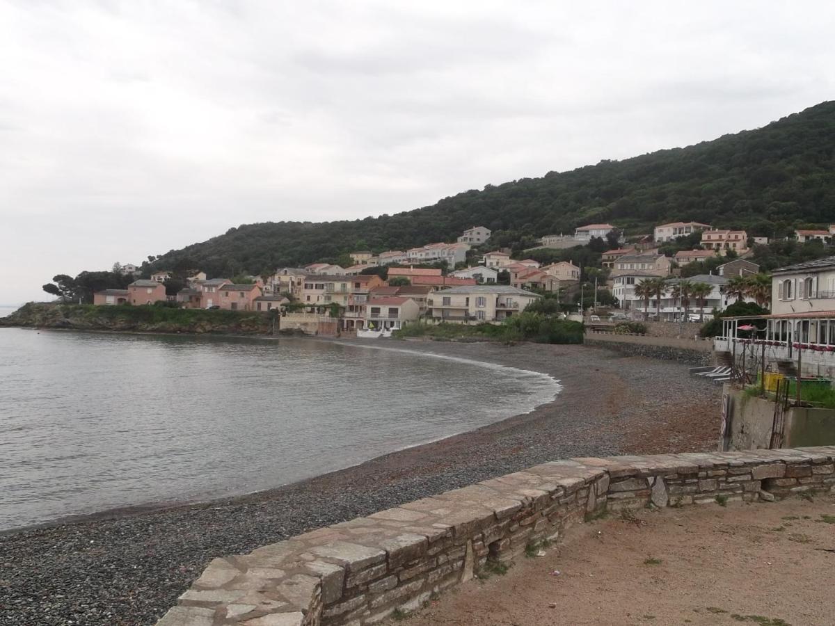 Agreable Studio Debut Cap Corse Proche Bastia San-Martino-di-Lota Экстерьер фото